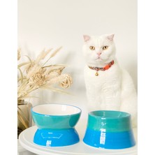 Feyza Design Colorful Seramik Kedi ve Köpek Mama ve Su Kabı Seti, Turkuaz