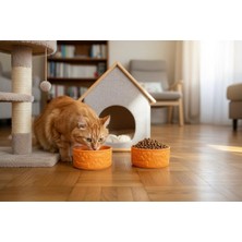 Feyza Design 2'li Seramik Kedi ve Köpek Mama ve Su Kabı Seti