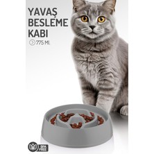 Feyza Design Yavaş Besleme Kabı, Gıda Dağıtıcı, Büyük Boy, Sağlıklı ve Konforlu Kullanım