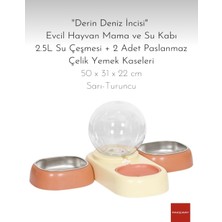 Feyza Design Evcil Hayvan Mama ve Su Kabı Seti 2.5l Çeşme ve 2 Paslanmaz Çelik Kaseler