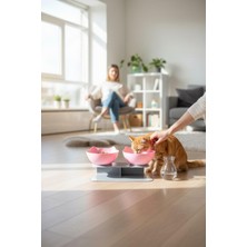 Feyza Design Iki Hazneli Gri Kedi Kafalı Standlı Mama ve Su Kabı 350 ml