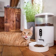 Feyza Design Kişiselleştirilebilir Akıllı Evcil Hayvan Besleyici Otomatik ve Kolay Kullanım