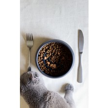 Feyza Design Yavaş Yeme Siyah Seramik Mama Kasesi, Konfor ve Şıklık Sunar