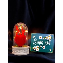 PremiumPort LED Işıklı Kırmızı Kalpli Fanus, Sevgili ve Arkadaşlara Özel Hediye