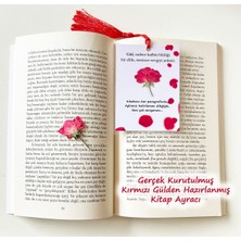 PremiumPort Kurutulmuş Kırmızı Gül Kitap Ayracı Sevgiliye Hediye