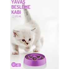 Feyza Design Pratik Yavaş Besleme Kabı, Gıda Dağıtıcı, Küçük Boy, Kolay Kullanım