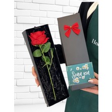 PremiumPort Siyah Hediye Kutusunda Kırmızı Kadife Gül, Özel ve Şık Hediye Seçeneği