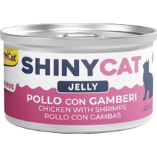 Feyza Design Yüksek Kaliteli Tavuk ve Karidesli Kedi Konservesi 70G