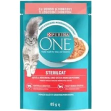 Feyza Design Kısırlaştırılmış Kediler Için Somon ve Havuçlu Mini Filetolar, Sağlıklı ve Lezzetli