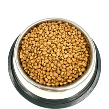 Feyza Design Paslanmaz Çelik Köpek Mama ve Su Kabı, Kaydırmaz Taban, 22 cm