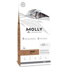 Feyza Design Yetişkin Kedi Maması, 2kg, Sağlıklı ve Lezzetli Seçenek