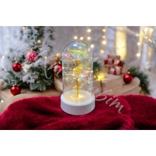 PremiumPort Yılbaşı Temalı Sonsuzluk Gülü Fanus Hediyesi Sevgiliye Özel 14 Şubat