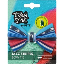 Feyza Design Renkli Jazz Çizgili Püsküllü Dekoratif Süs 75CM