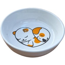 Feyza Design Yıkanabilir Seramik Mama ve Su Kabı 14 cm 250 Ml, Güvenli ve Şık Tasarım