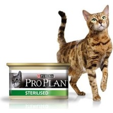 Feyza Design Sağlıklı ve Leziz Somonlu Kedi Konservesi 85G x 24 Adet