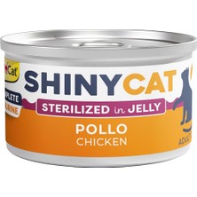 Feyza Design Lezzetli Tavuklu Kısır Kedi Maması, 70G, Sağlıklı ve Besleyici