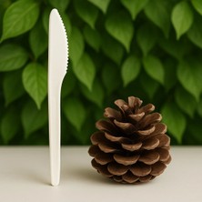 Ekolojik Ambalaj Doğa Dostu Organik Mısır Nişastası Bıçak 500 Adet - Koli