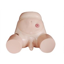 EgeAnatomi Maketleri Erkek Üretral Kateterizasyon Simülatörü - Erkek Kateterizasyon Maketi