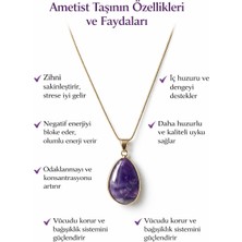 Solare Accessories Ametist Doğal Taşlı Altın Kaplama Detaylı Kolye