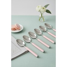 SHN 6’lı Paslanmaz Çelik Tatlı Kaşığı Seti Somon Pembe Saplı 15 cm