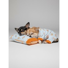 Kemique Cozy Meow Köpek Uyku Takımı | Pamuklu Penye Köpek Tulumu ve Mini Yastık | Küçük Irklar Için | Tüy Dökülmesini Azaltır