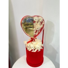 Nimetin Düşleri Ayıcık Kutusu Kalpli