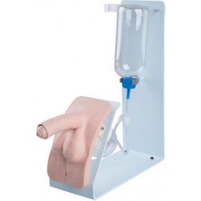 EgeAnatomi Maketleri Erkek Kateterizasyon Simülatörü - Erkek Üretral Kateterizasyon Maketi