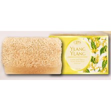 Kabak Lifli Ylang Ylang Sabunu