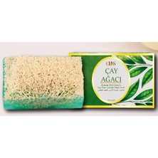 Kabak Lifli Çay Ağacı Sabunu