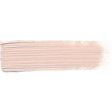 Ak Interactive Ak ABT145 20 Ml. Yağlı Boya, Light Flesh Tone