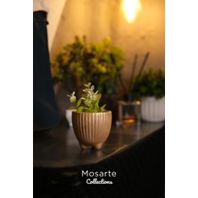 Mosarte Yivli Tasarım Yuvarlak Mini Alçı Vazo / Dekoratif Obje