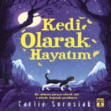 SHC4200 Kedi Olarak Hayatım