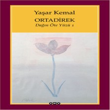 SHC4200 Ortadirek - Dağın Öte Yüzü 1