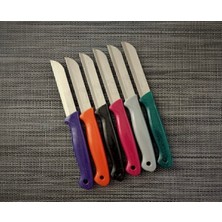 Solingen 6'lı Renkli Meyve Bıçağı