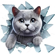 Marsilyan Fulcar British Araç Stickerı