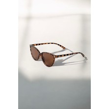 Frida  Cat  Yeni Sezon Kadın Güneş Gözlüğü / Ren Eyewear