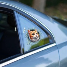 Marsilyan Fulcar Sarman Araç Stickerı