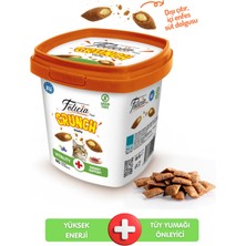 Felicia Tüy Yumağı Önleyici Vitality Enerji Kedi Crunch Ödül Maması Sığır Etli, Yaban Mersini & Sütlü 100 gr