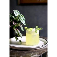 Nova Viski 315 cc 6'lı Hediyelik Kutu