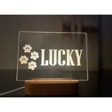 PremiumPort Isme Özel 3D Gece Lambası, Hediye Seçeneğiyle Canlı Dekorasyon