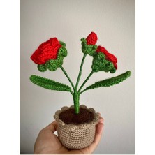 PremiumPort Solmayan Gül El Yapımı Saksıda Hediye, Anlamlı Anneler Günü Çiçeği