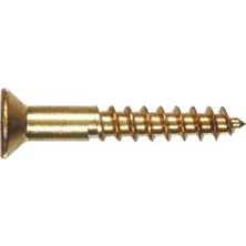 The Group 41828 Pirinç Düz Başlı Phillips Ahşap Vida, 100 Paket