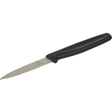 5.3033 8cm Tırtıklı Şef Soyma Bıçağı