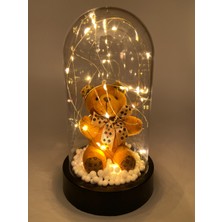 PremiumPort Sevgililer Günü Için Fanuslu Kahve Ayıcık ve Gün Işığı Dekorasyonu