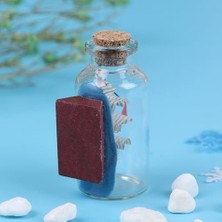 Orta Boy Şişe Içerisinde Gemi Maketi