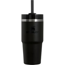 H2.0 Flowstate Paslanmaz Çelik Vakum Yalıtımlı Bardak Kapaklı ve Pipetli Su, Buzlu Çay Veya Kahve, Smoothie ve Daha Fazlası Için, Siyah 2.0, 396 G