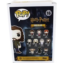 Pop Potter