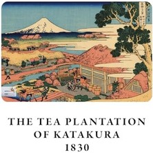 Mount Series Iı - A5, Hokusai 4'lü Defter Seti Iı, Çizgisiz, Toplam 256 Sayfa, Her Biri 64 Sayfa, Tel Dikiş, Esnek Kapak, Oval Kenar, Tuval Doku, 60 Gram, Sarı Krem Renk