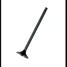 N8011710 Tvs Raider 125 Egzoz Sibop Orjinal