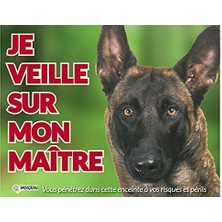 Vadigran Malinois Köpek Fotoğraf Tabelası